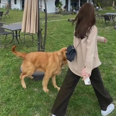史上最强弟子